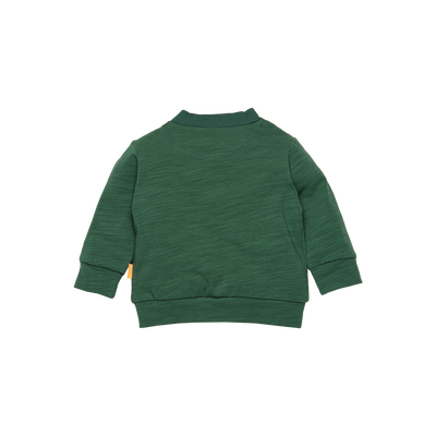 BESS Winter 2023 w23 Sweater BESS 232059-014 Green