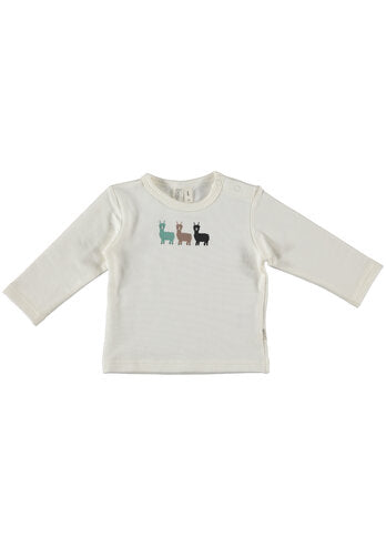 Bess organic  Shirt l.sl. Alpaca BO3024-001