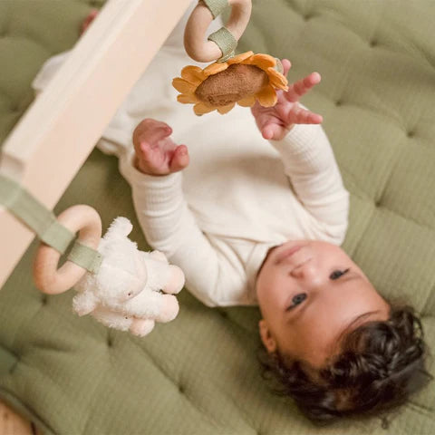 Little Dutch Babygym Little Farm LD8810