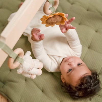 Little Dutch Babygym Little Farm LD8810
