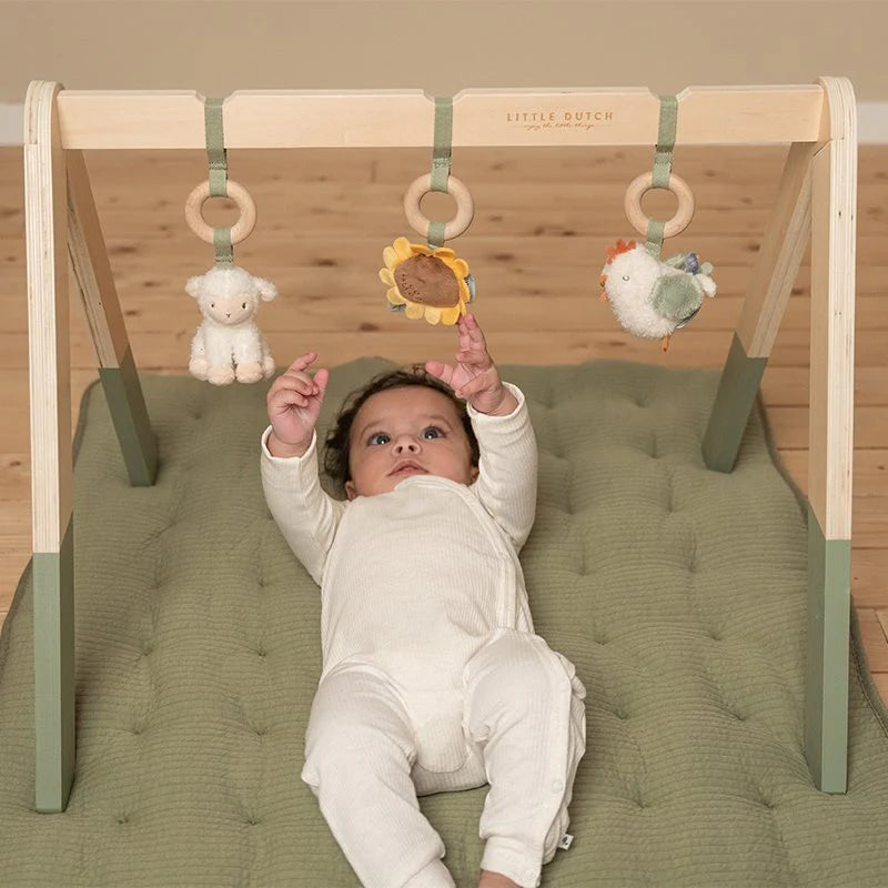 Little Dutch Babygym Little Farm LD8810