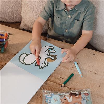 Little Dutch Forest Friends Kleurboek 2016710