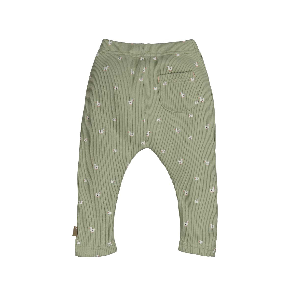 BESS W25 Girls Legging AOP Goose Sage 252130-051