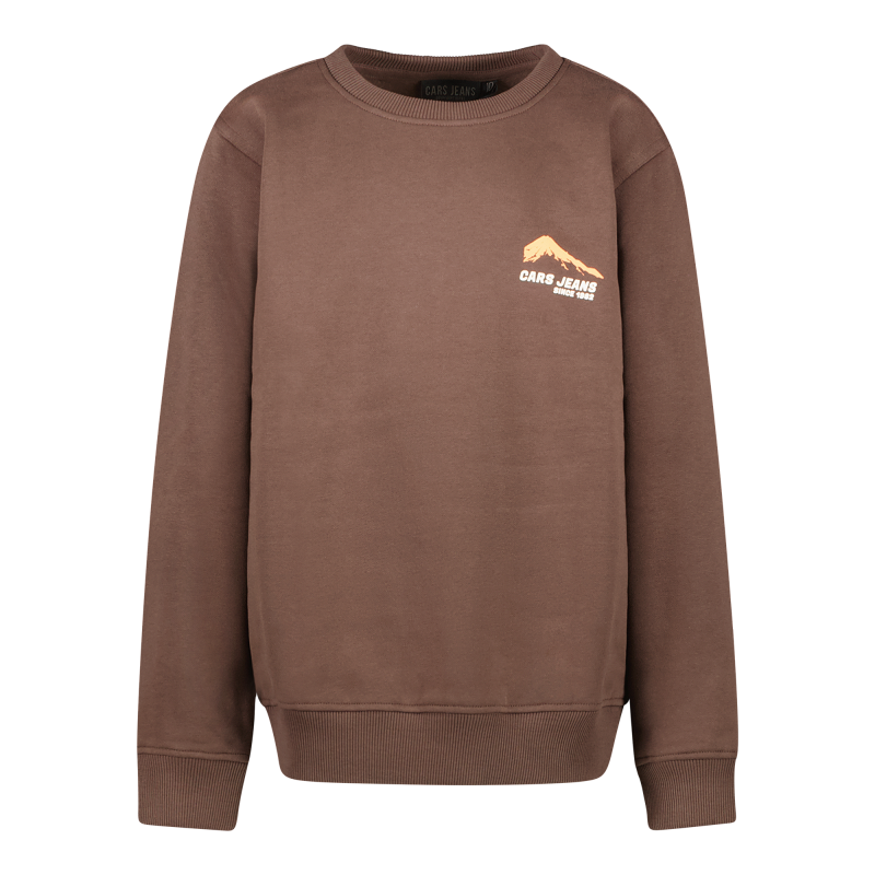 Cars Jeans W25 Kids TARAY SW Brown 2737386