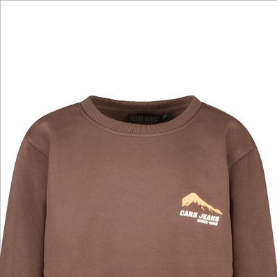 Cars Jeans W25 Kids TARAY SW Brown 2737386