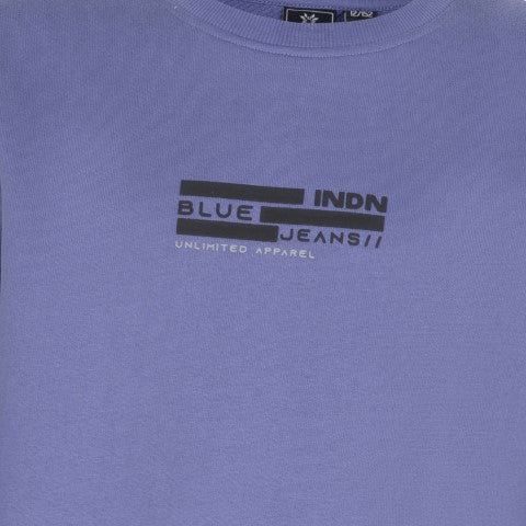 Indian Blue Jeans W24 Sweater  Purple IBBW24-4532