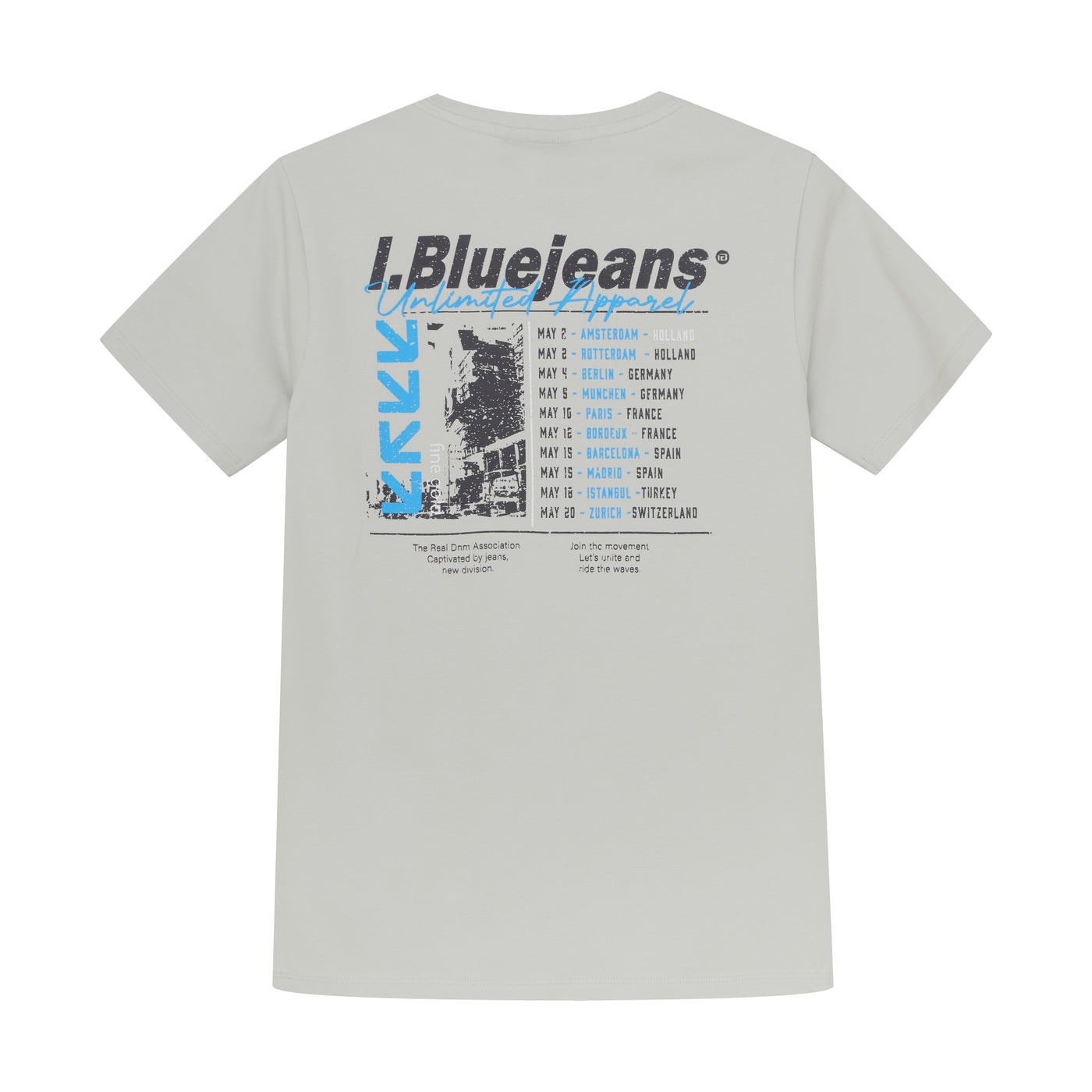 Indian Blue Jeans S25 Boy T-shirt Badge and Backprint Grey 960189