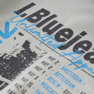 Indian Blue Jeans S25 Boy T-shirt Badge and Backprint Grey 960189