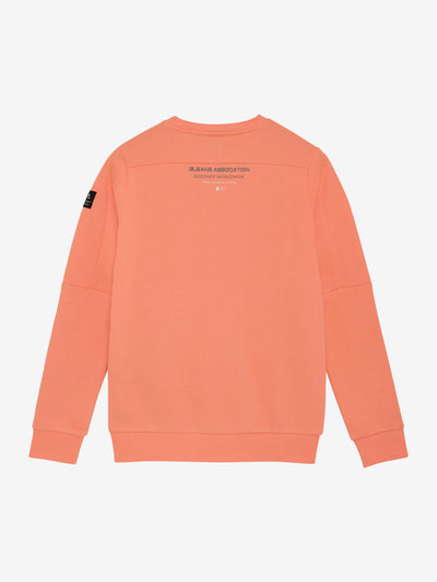 Indian Blue Jeans W25 Boy Sweatshirt -knitted Sweater Chest Print Brushed Peach Echo 960434