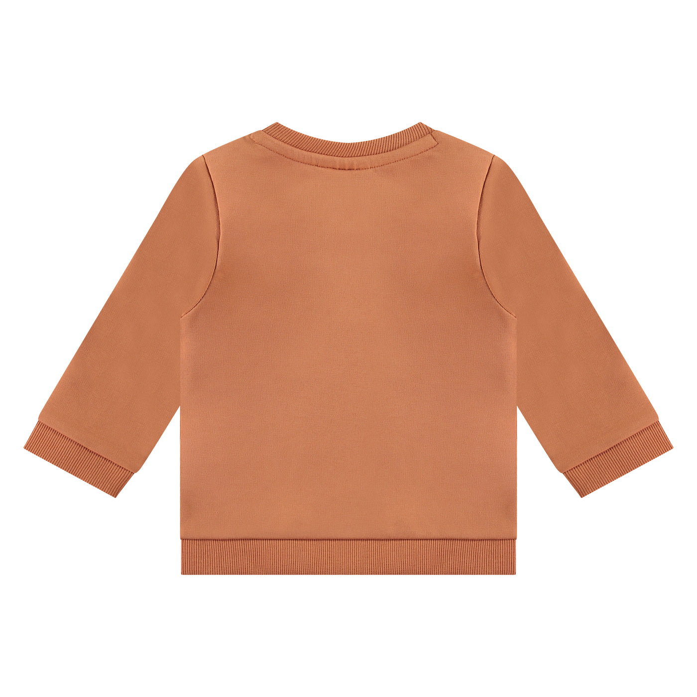 BABYFACE W24 boys sweatshirt BBE24527425 orange