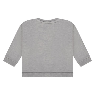 Babyface W25 Pullovers and cardigans baby boys sweatshirt GREY MELANGE BBE25527421