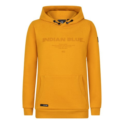 Indian blue jeans Boys Hoodie Indian Blue Golden Yellow IBBW23-4585 817