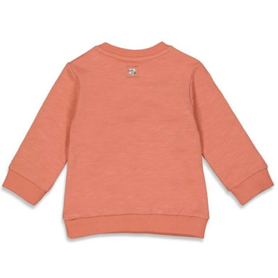 Feetje NOS basis meisjes Sweater - Hearts Terra Pink 51601895