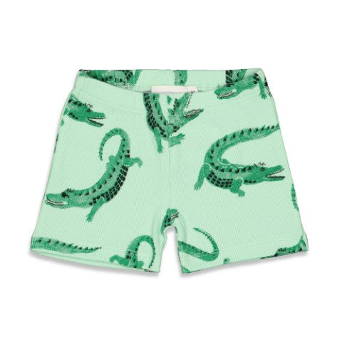 Feetje pyjama Chris Croc - Premium Summerwear by FEETJE Groen 50500065