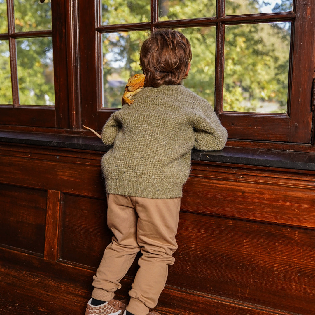 Koko Noko W25 boys Sweater with collar Dusty green O56803-37 44