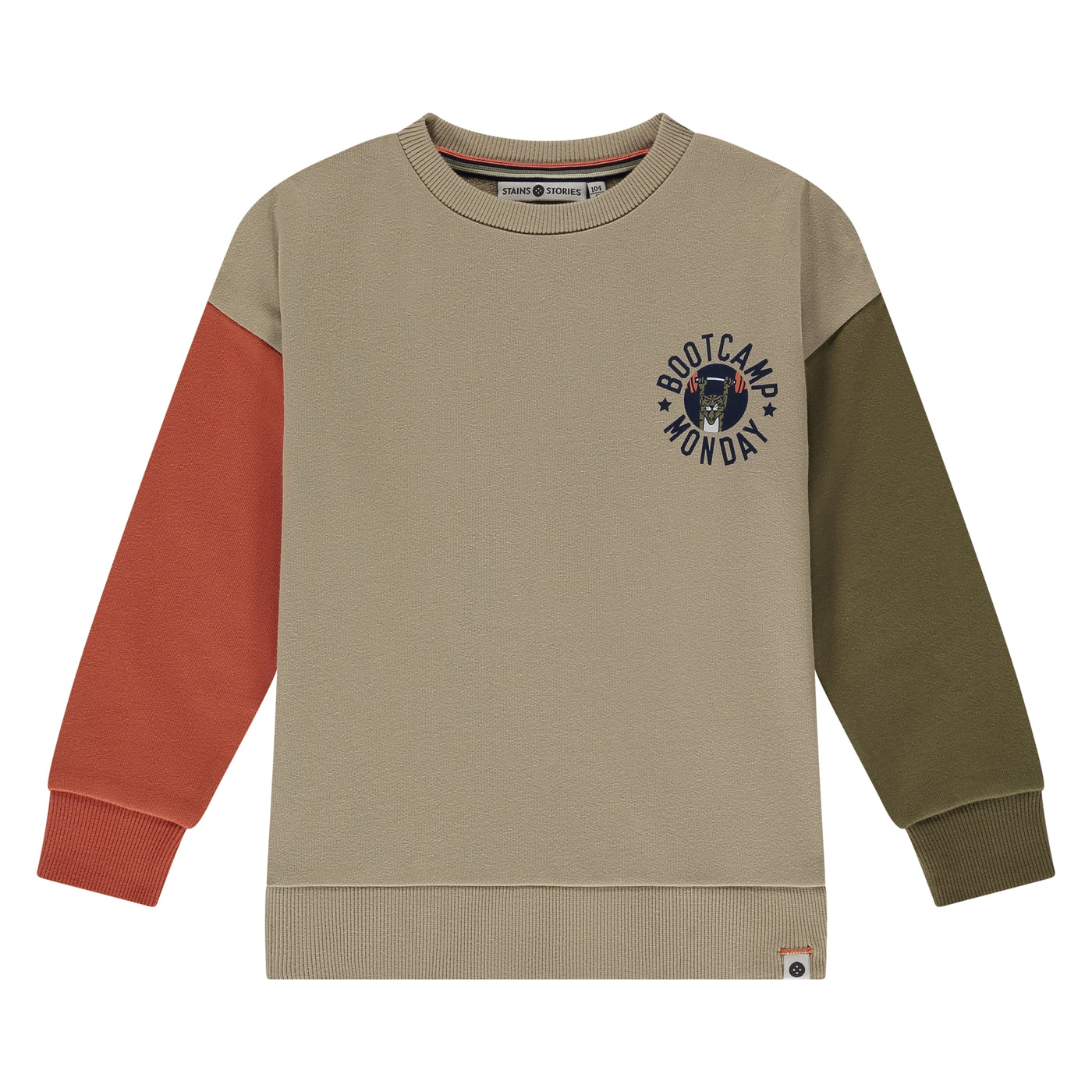 Stains & Stories W25 boys sweatshirt Pullovers and cardigans kit SSA25407453