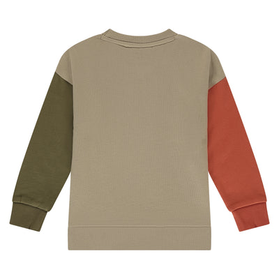 Stains & Stories W25 boys sweatshirt Pullovers and cardigans kit SSA25407453
