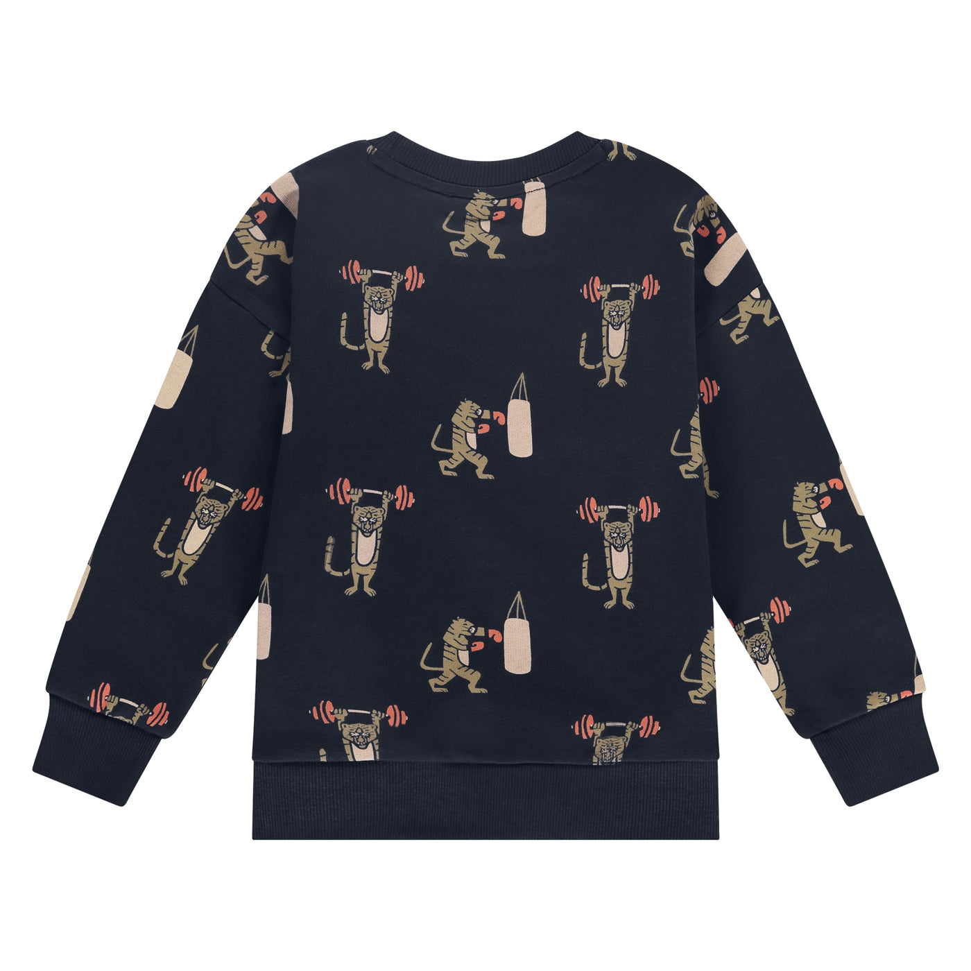 Stains & Stories W25 boys sweatshirt Pullovers and cardigans night SSA25407451