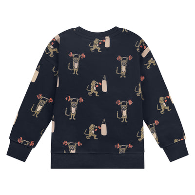 Stains & Stories W25 boys sweatshirt Pullovers and cardigans night SSA25407451