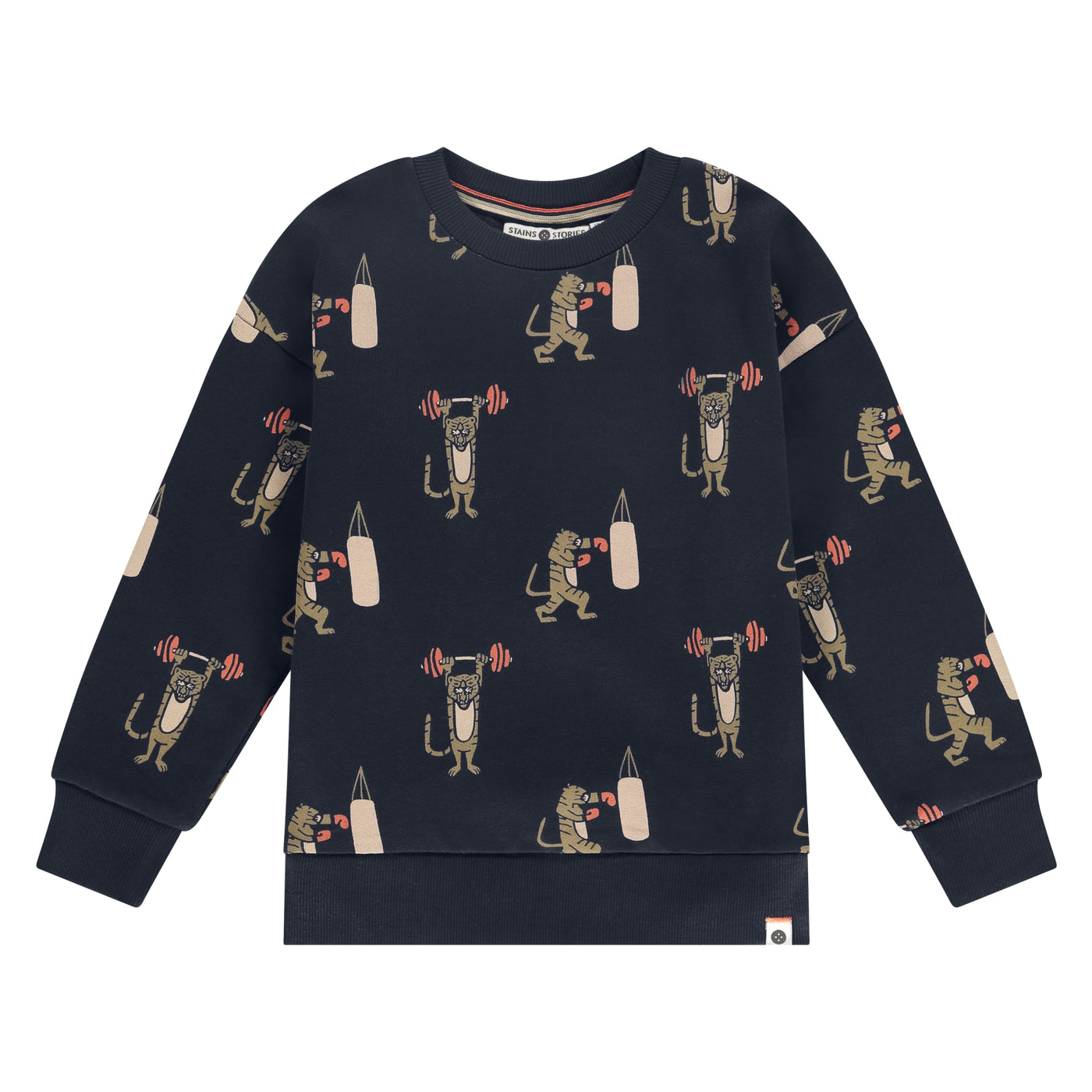 Stains & Stories W25 boys sweatshirt Pullovers and cardigans night SSA25407451