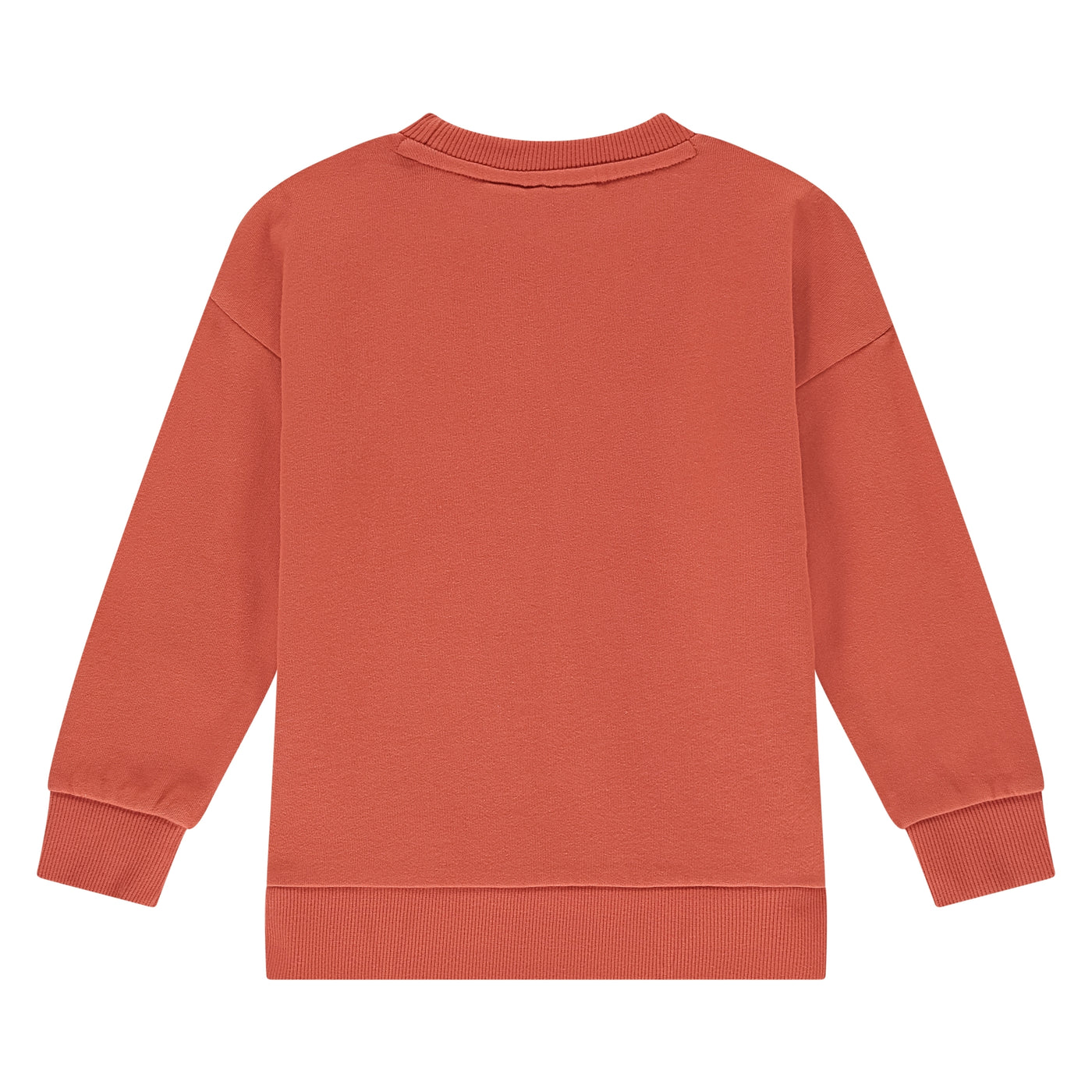 Stains & Stories W25 boys sweatshirt Pullovers and cardigans pomegranate SSA25407455