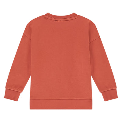 Stains & Stories W25 boys sweatshirt Pullovers and cardigans pomegranate SSA25407455