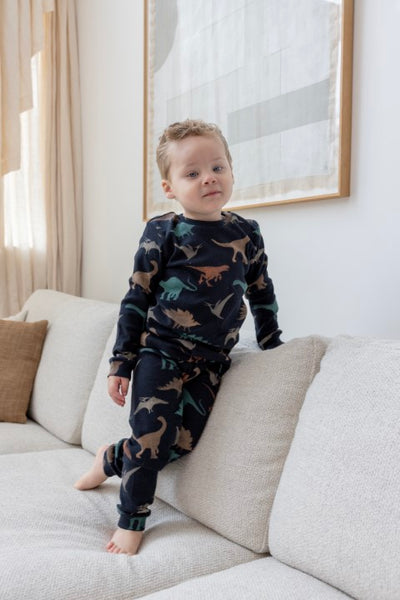 Feetje w24 Davy Dino - Premium Sleepwear by Feetje Antraciet 50500080