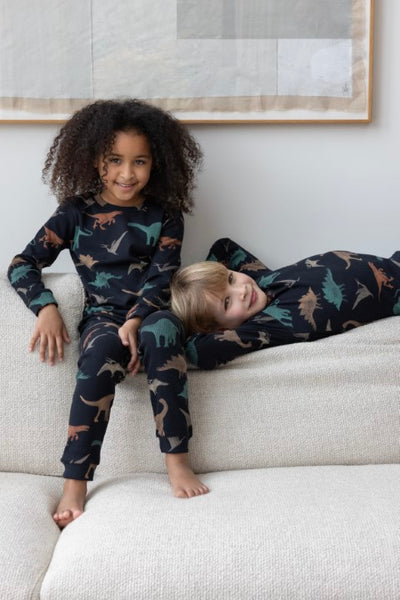 Feetje w24 Davy Dino - Premium Sleepwear by Feetje Antraciet 50500080