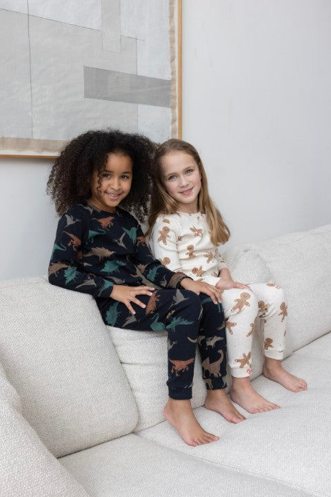 Feetje w24 Davy Dino - Premium Sleepwear by Feetje Antraciet 50500080