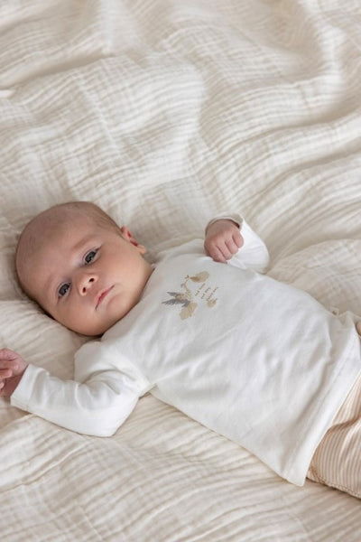Feetje S25 Broek streep - Special Delivery Zand S2511 52202306