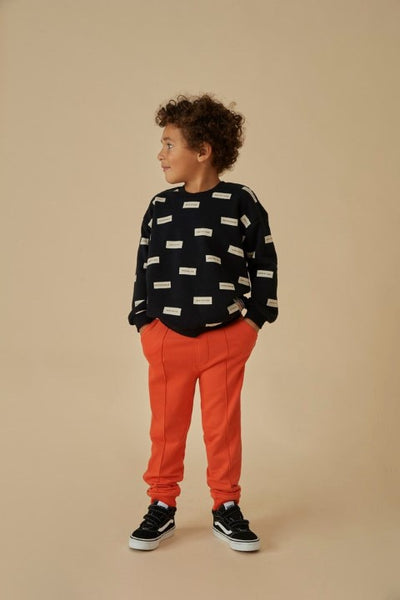 Sturdy w24 Broek - Jump For Joy Oranje W24S2 72200216 350