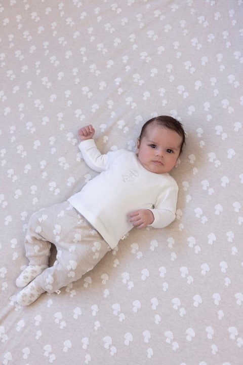 Feetje W25  W2510 Broek AO - Dear Autumn Taupe melange 52202369