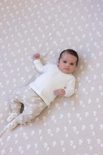 Feetje W25  W2510 Broek AO - Dear Autumn Taupe melange 52202369