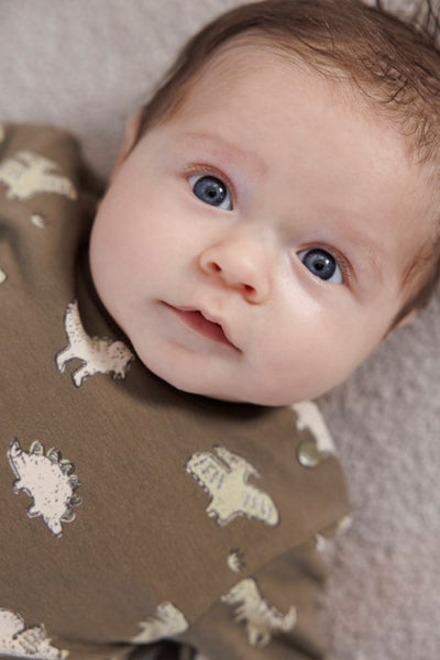 Feetje W25  W2516 Sweater AOP - Rawrsome Olijf 51602614