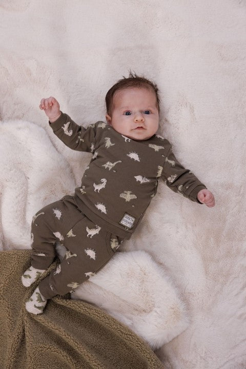 Feetje W25  W2516 Sweater AOP - Rawrsome Olijf 51602614
