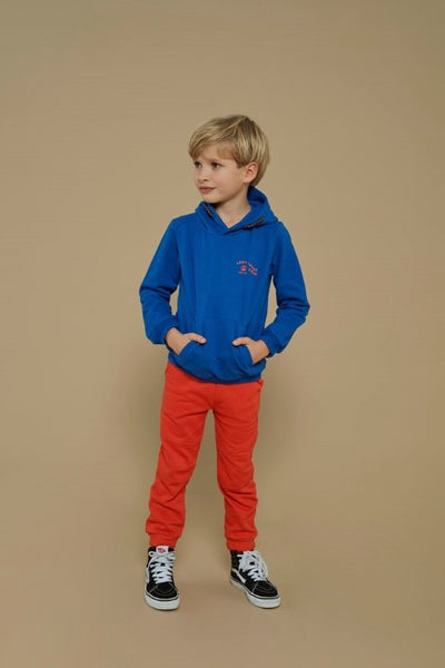 Sturdy w25 Hoody - Chasing Trails Blauw 71600628 W25S2