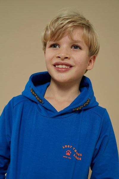 Sturdy w25 Hoody - Chasing Trails Blauw 71600628 W25S2