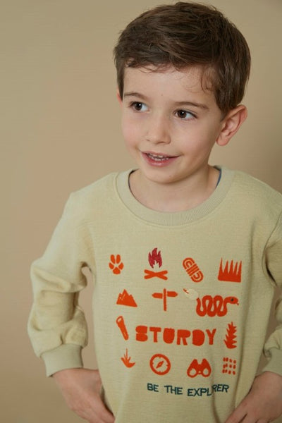 Sturdy w25 Sweater - Chasing Trails Kit 71600632 W25S2