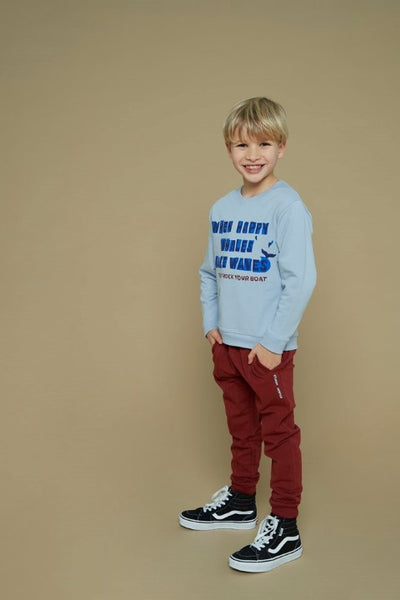 Sturdy w25 Sweater - Waves and Whales Blauw 71600643 W25S3
