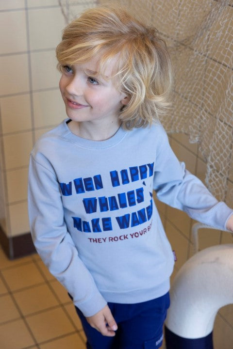 Sturdy w25 Sweater - Waves and Whales Blauw 71600643 W25S3