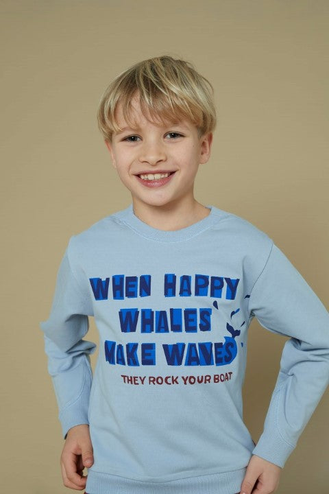 Sturdy w25 Sweater - Waves and Whales Blauw 71600643 W25S3