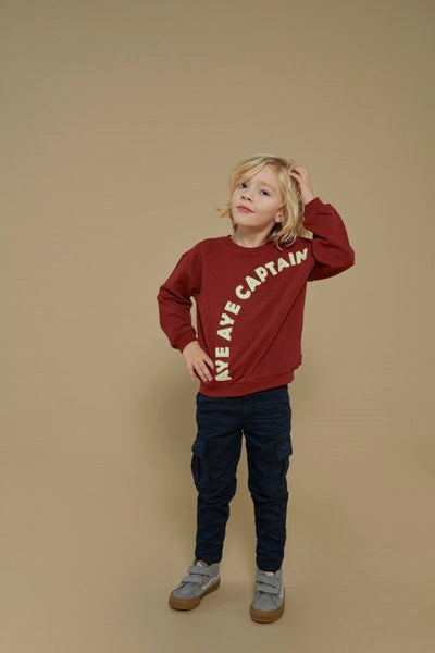 Sturdy w25 Sweater - Waves and Whales Bordeaux 71600647 W25S3