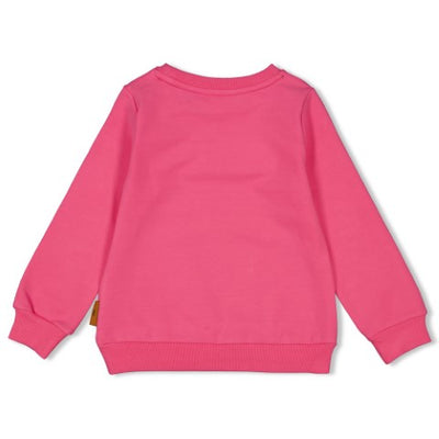 Jubel w23 Sweater - Color Me Panther Roze 91600355 W23J2