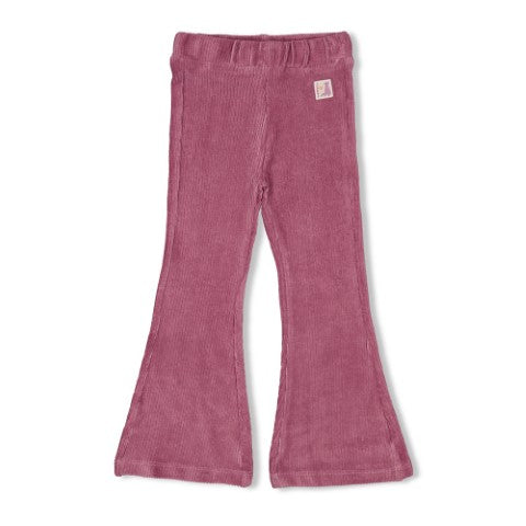 Jubel w24 Flared broek velours rib - Forest Fancy Lila W24J3 92200450 255