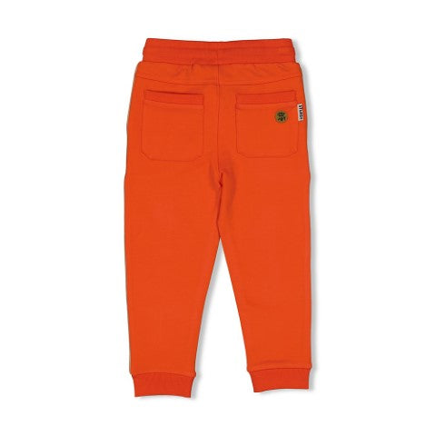 Sturdy w24 Broek - Jump For Joy Oranje W24S2 72200216 350