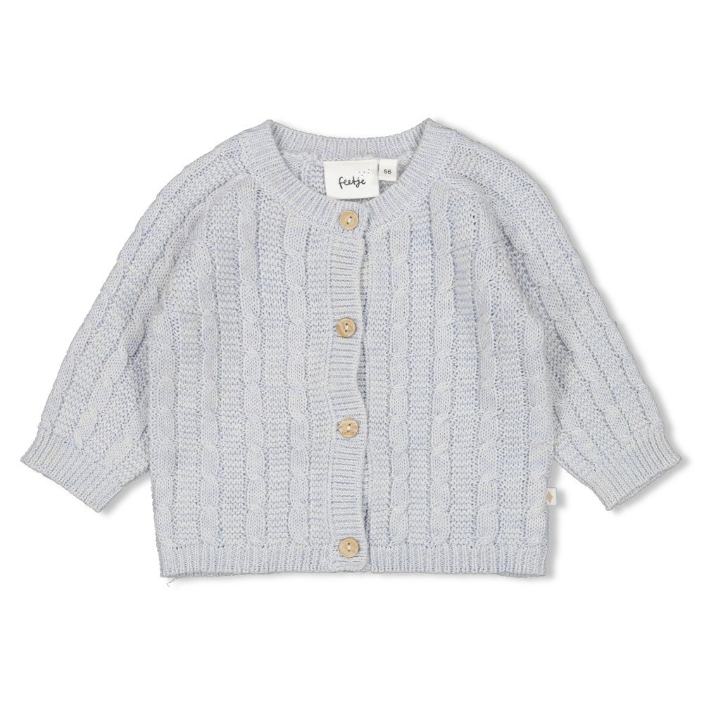 Feetje W25  W2513 Vestje gebreid - The Knits Blauw melange 51300538