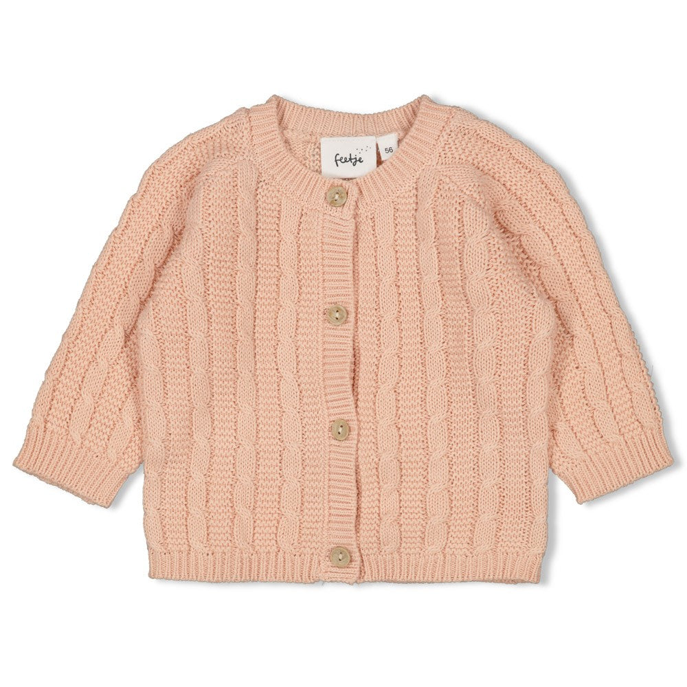 Feetje W25  W2513 Vestje gebreid - The Knits Roze 51300539