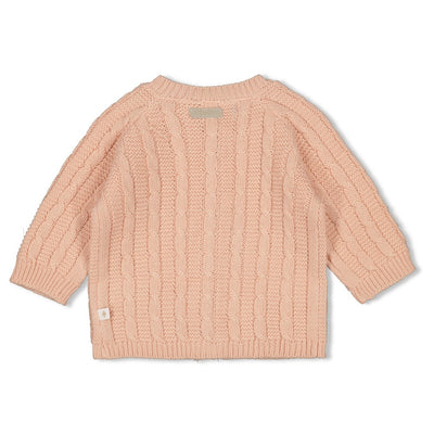 Feetje W25  W2513 Vestje gebreid - The Knits Roze 51300539