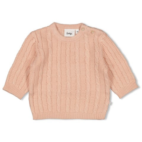 Feetje W25  W2513 Sweater gebreid - The Knits Roze 51602678