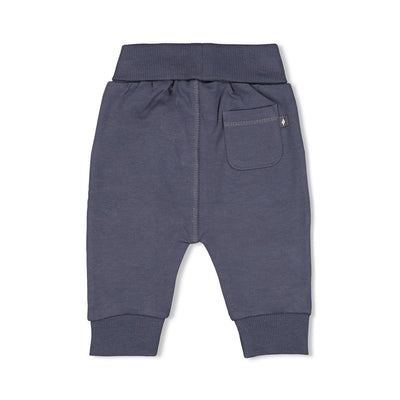Feetje W25  W2518 Broek - Narwal Blauwgrijs 52202392